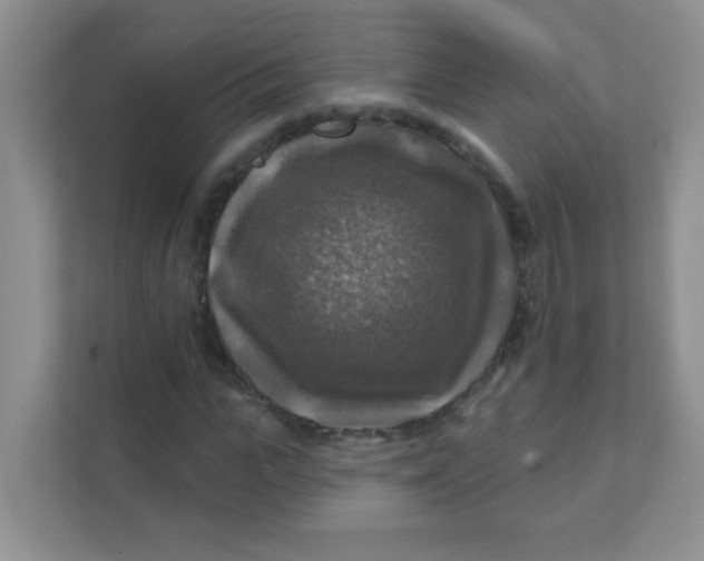 X0000111380919200907311050