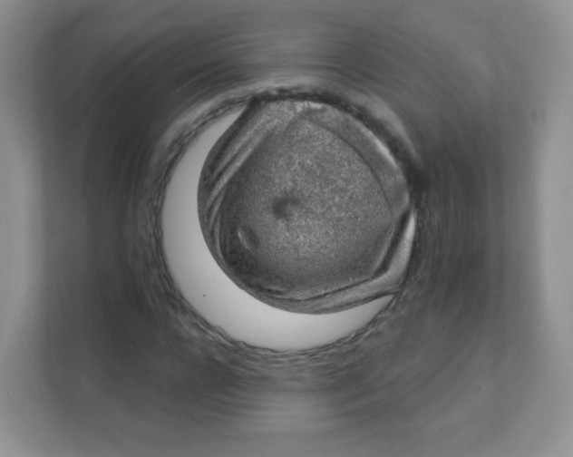 X0000111380920200907311050