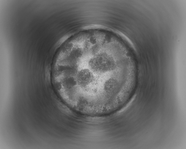 X0000111380921200907311050