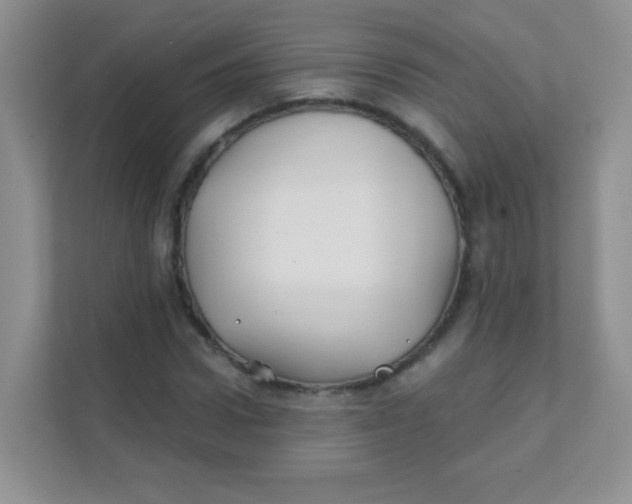 X0000111380922200907311050