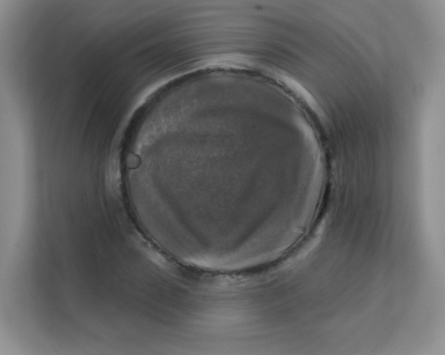 X0000111380923200907311050