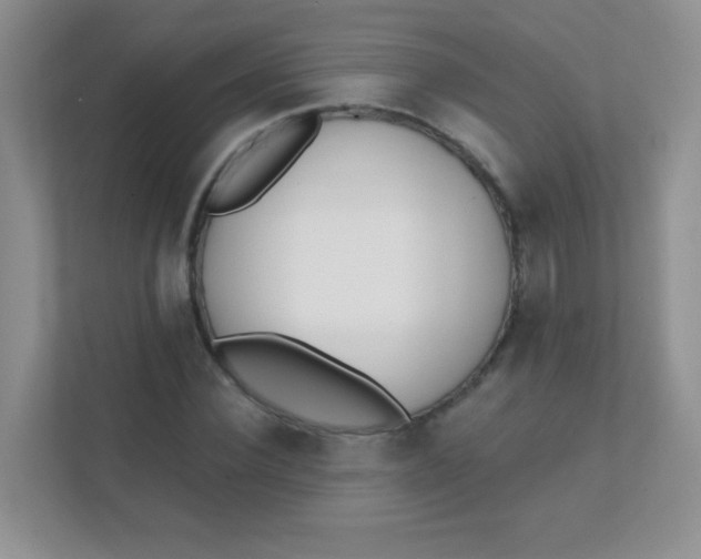 X0000111380924200907311050