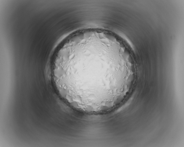 X0000111380925200907311050