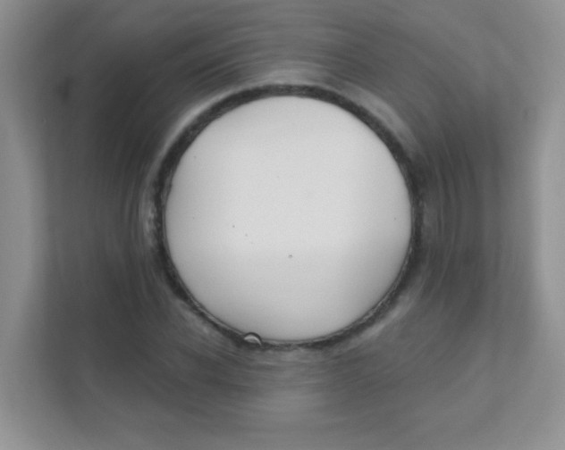 X0000111380926200907311050