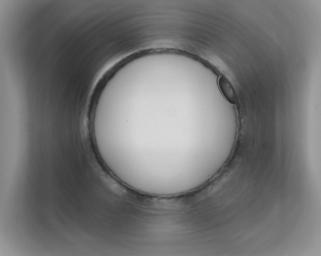 X0000111380928200907311050