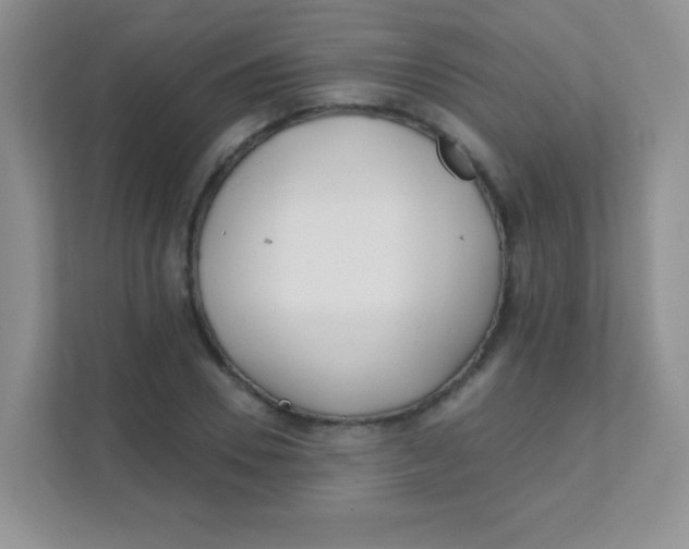 X0000111380930200907311050