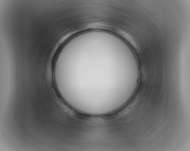 X0000111380931200907311050