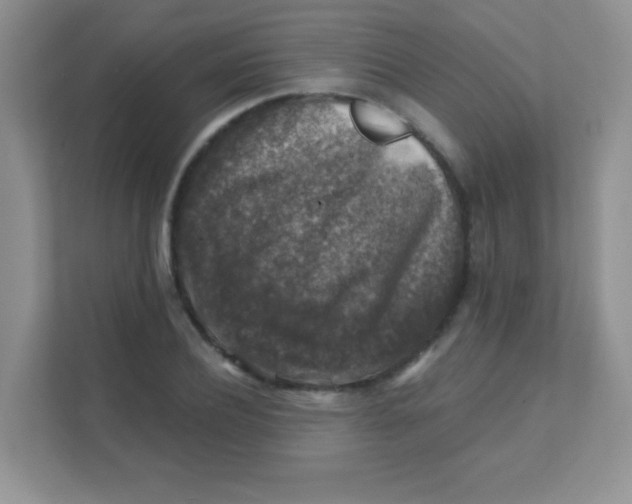 X0000111380932200907311050