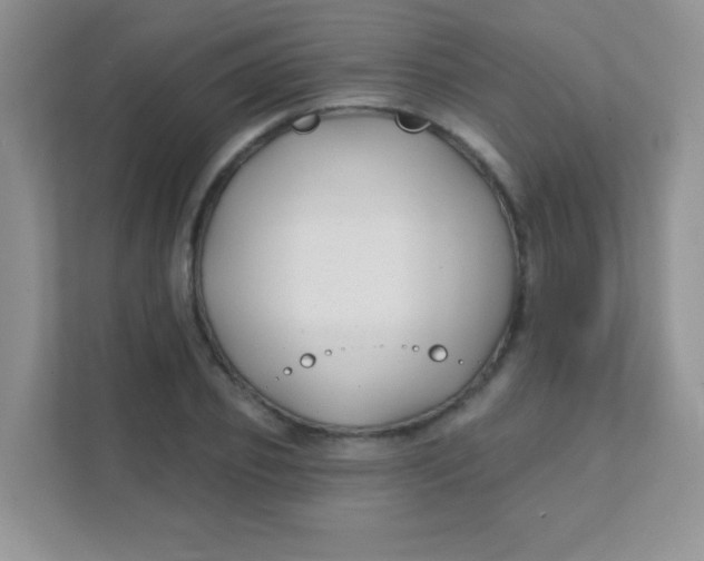 X0000111380933200907311050