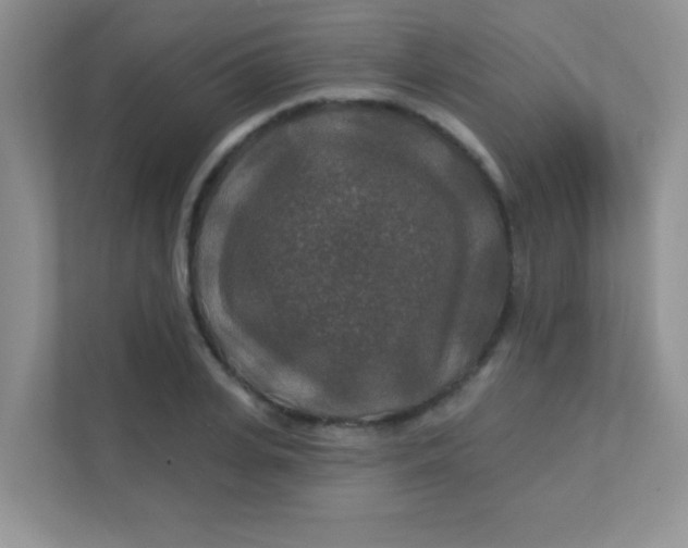 X0000111380935200907311050