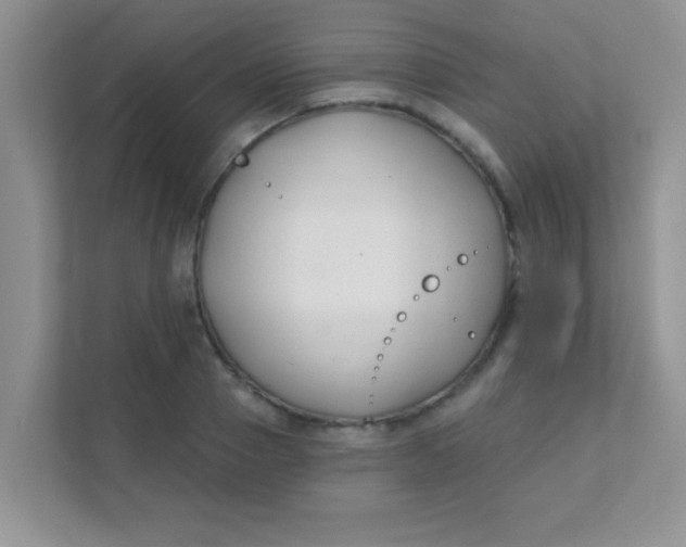 X0000111380937200907311050