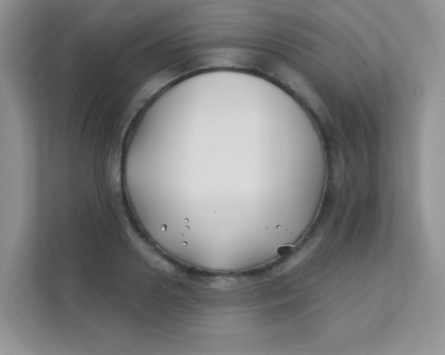 X0000111380938200907311050