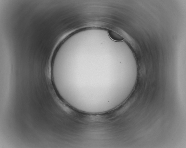 X0000111380940200907311050