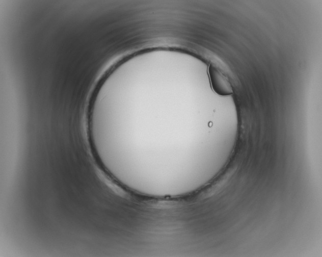 X0000111380942200907311050