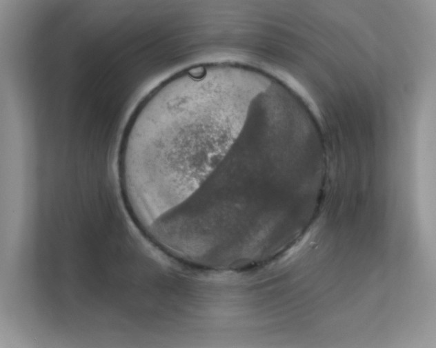 X0000111380943200907311051