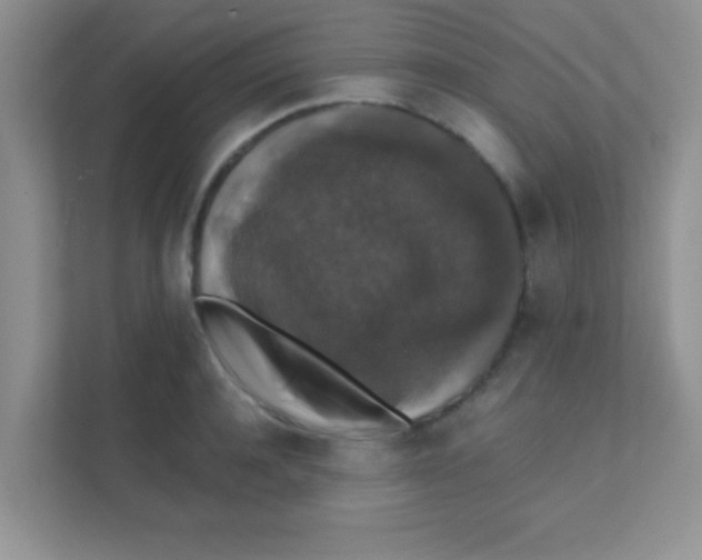 X0000111380944200907311051