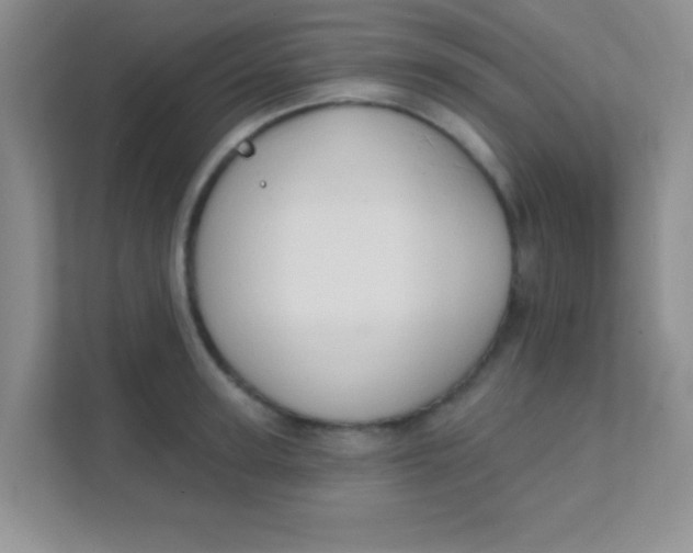 X0000111380947200907311051