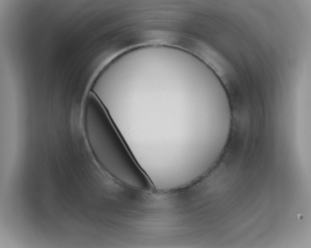 X0000111380948200907311051