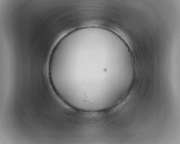 X0000111380949200907311051