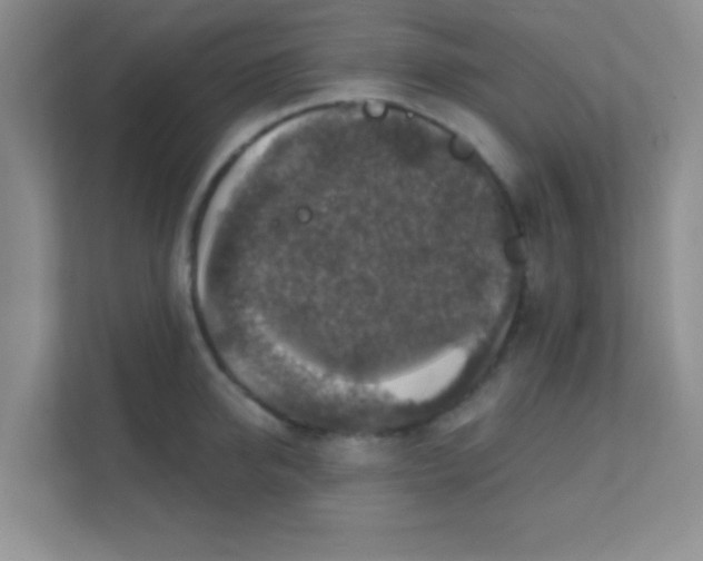 X0000111380950200907311051