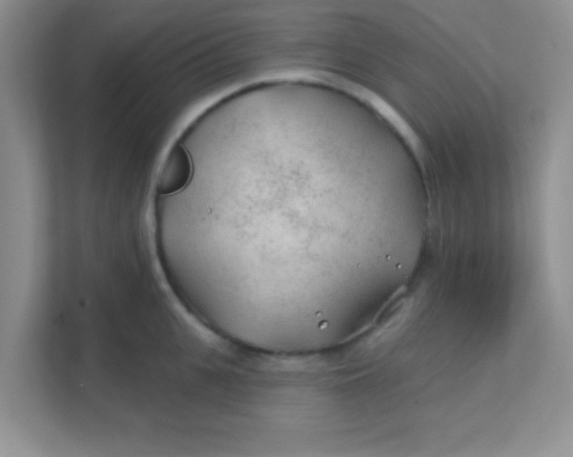 X0000111380951200907311051