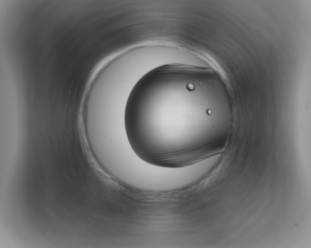 X0000111380952200907311051