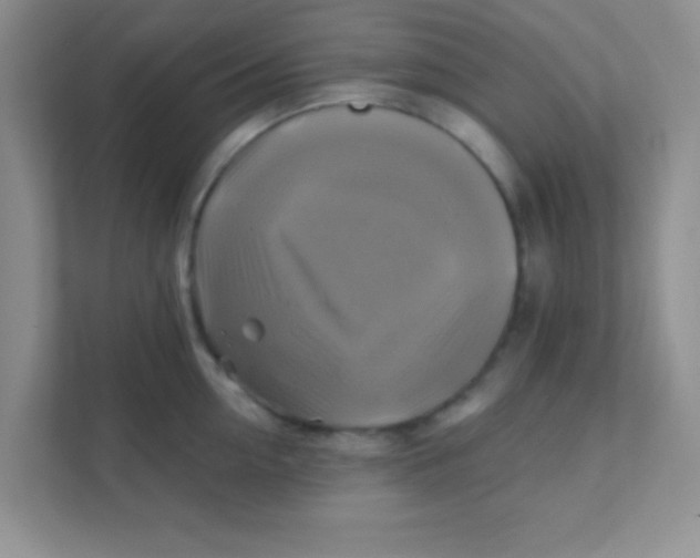 X0000111380954200907311051