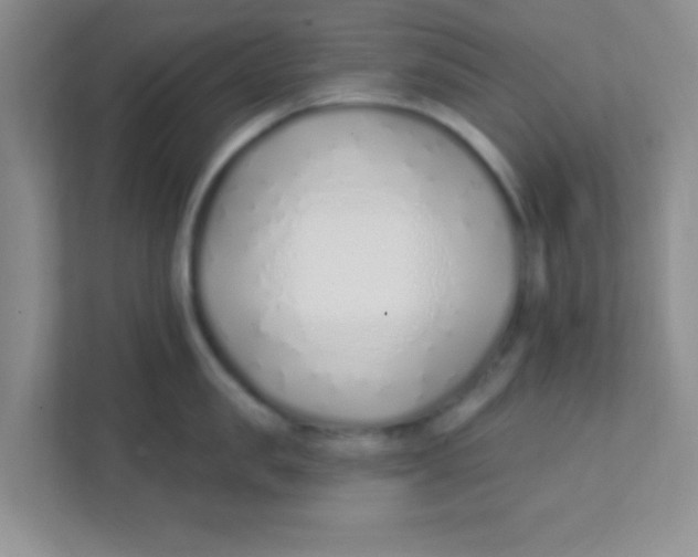 X0000111380957200907311051