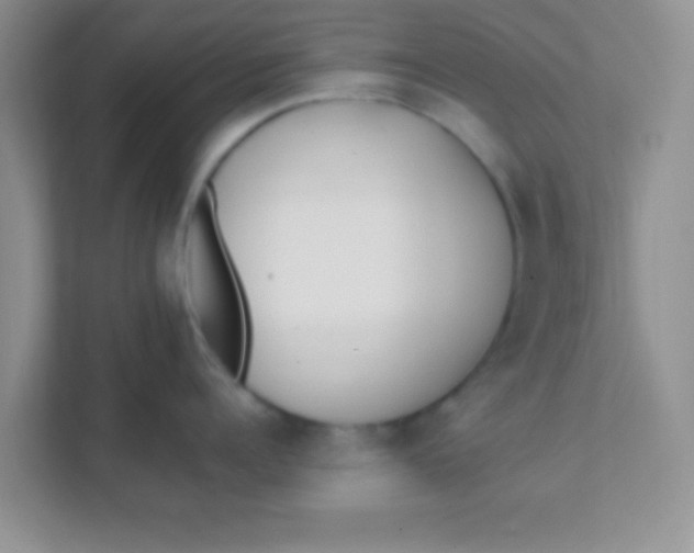 X0000111380960200907311051