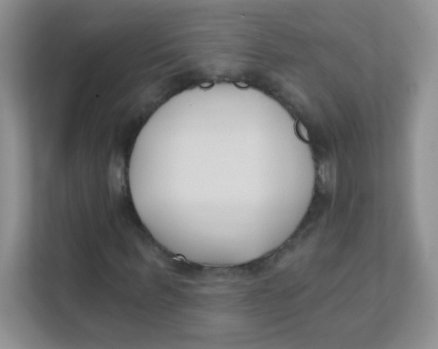 X0000111380963200907311050