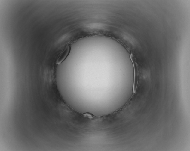 X0000111380965200907311050