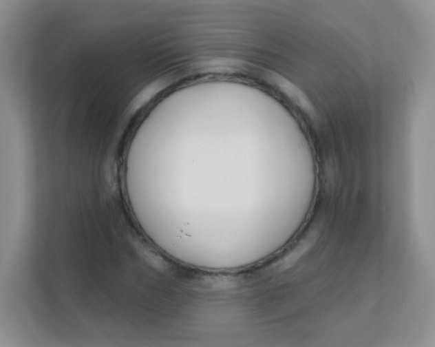 X0000111380970200907311050