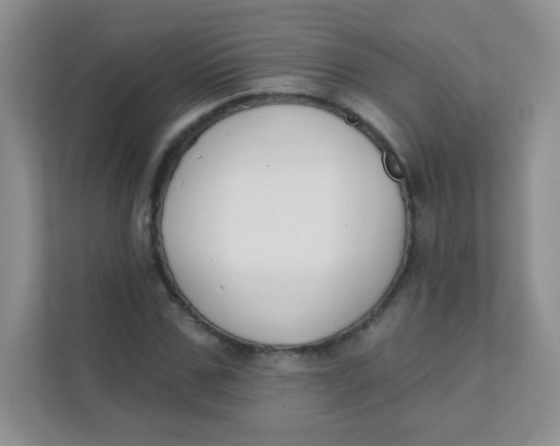 X0000111380971200907311050