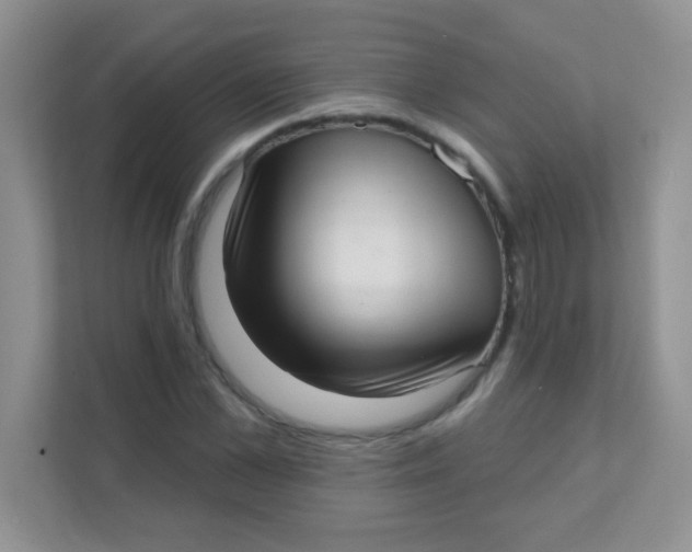 X0000111380973200907311050