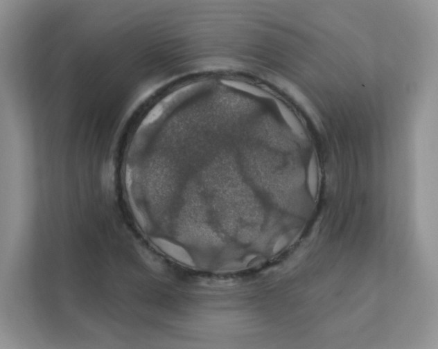 X0000111380975200907311050