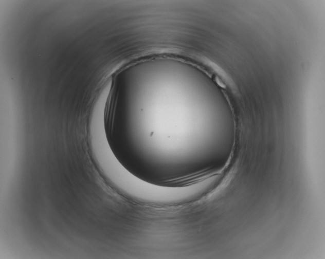 X0000111380977200907311050