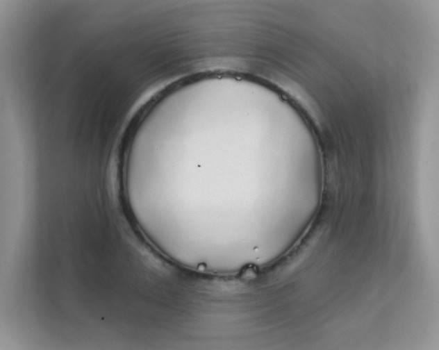 X0000111380983200907311050