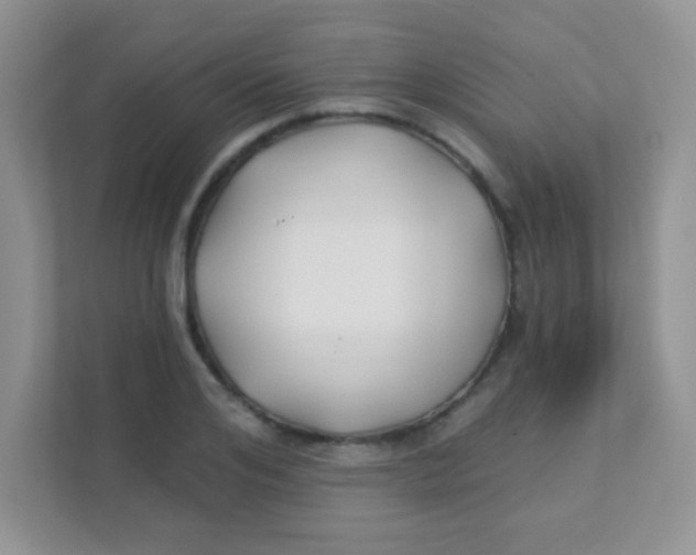 X0000111380984200907311050