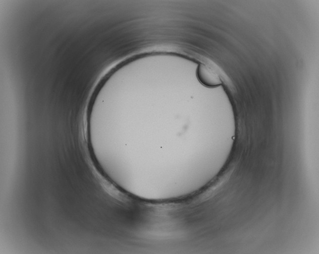 X0000111380988200907311050