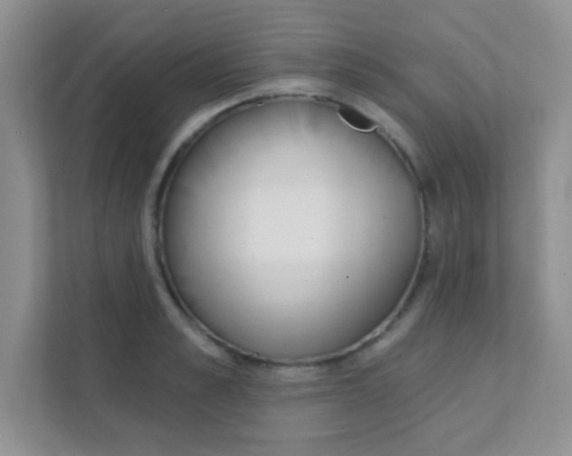 X0000111380989200907311050