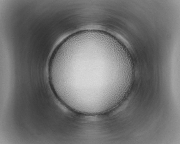 X0000111380990200907311050