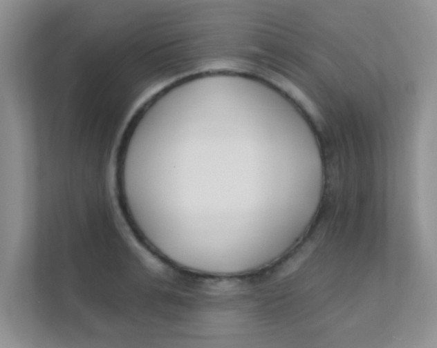 X0000111380991200907311050