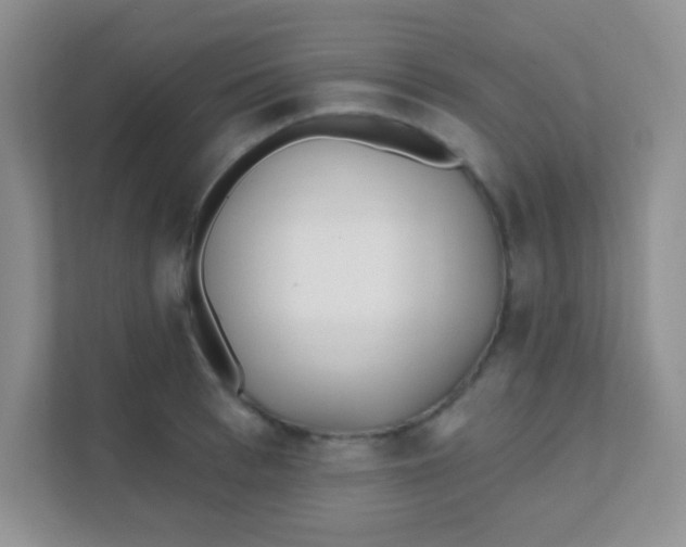 X0000111380993200907311050