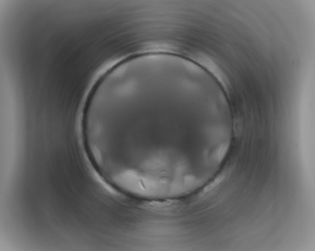 X0000111380995200907311050