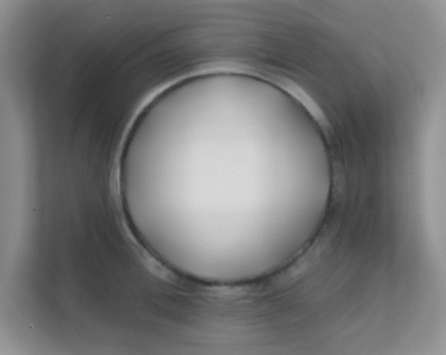 X0000111380996200907311050