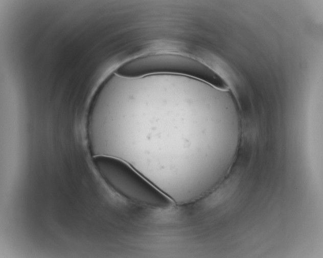 X0000111380997200907311050