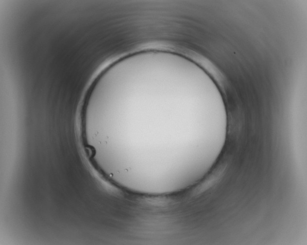 X0000111380999200907311050