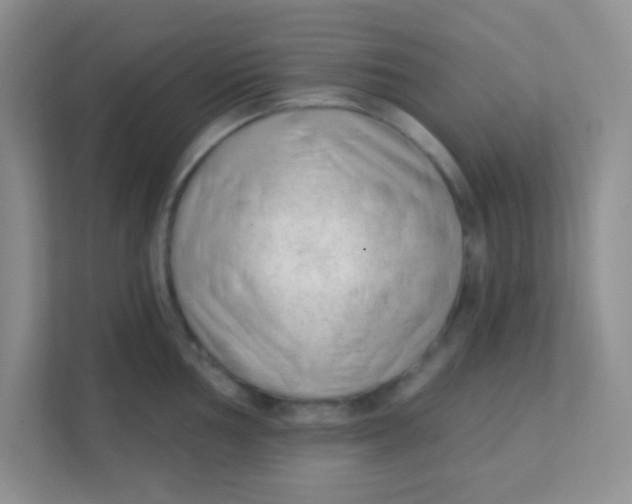 X0000111381002200907311050