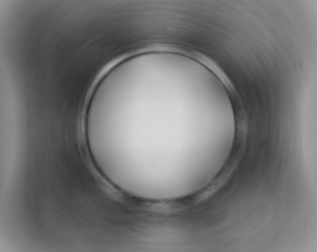 X0000111381004200907311050