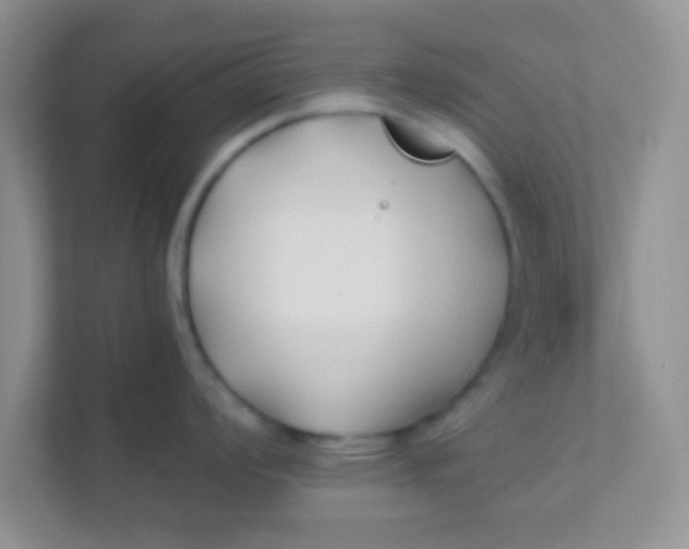 X0000111381008200907311049